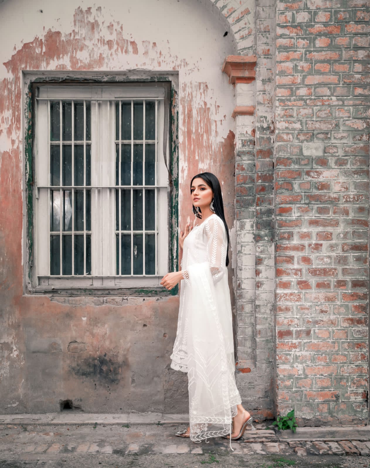 White Pim (SS-11) - suidhagaofficial