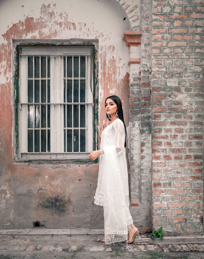 White Pim (SS-11) - suidhagaofficial